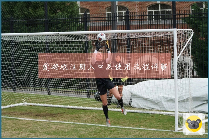 爱游戏注册入口及使用流程详解